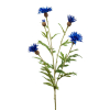 Siertak Centaurea Blauw 60cm Pot&Vaas