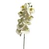 Siertak Orchidee Bora Wit 108cm Pot&Vaas