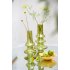 Vaas Niana Olie Grasgroen Glas 40,5cm Light&Living