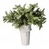 plantenpot Icecub Ijshoorn Wit 8,8cm Kersten