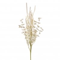 Droogboeket Meadow Grass Creme 25x55cm